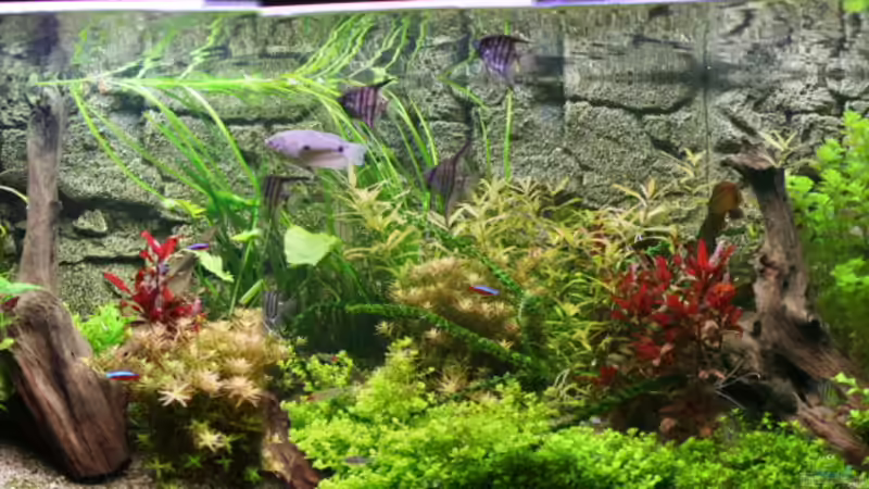 2010-12-29 von haimik (5)