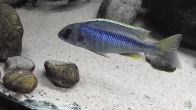 2010 von Dominik Steigewald (26)