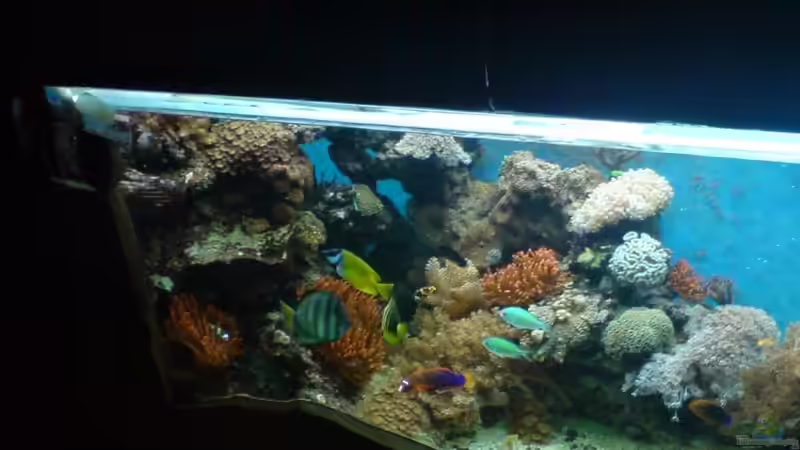 2010 von Thomas38 (2)