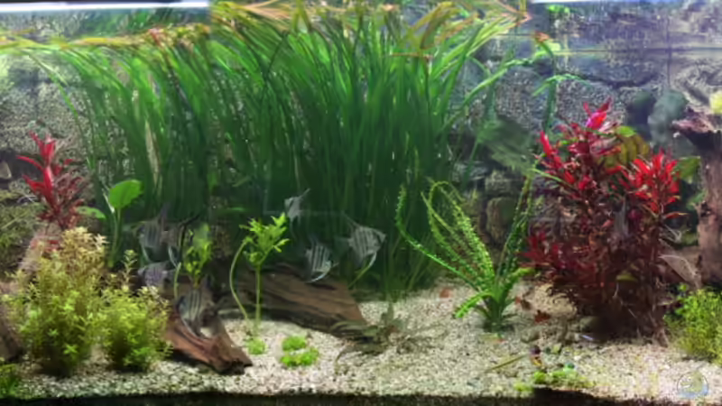 2011-02-13 von haimik (10)