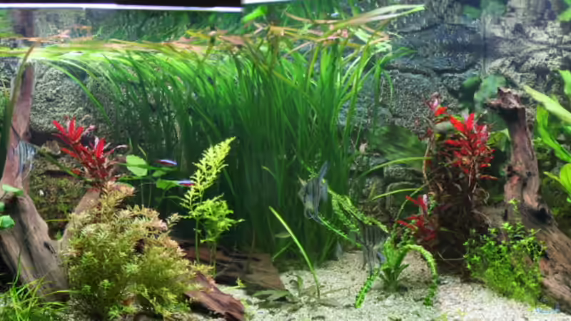 2011-02-20 von haimik (11)