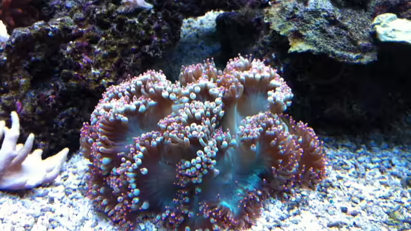 2011.03.21 von Stephan Ascher (26)