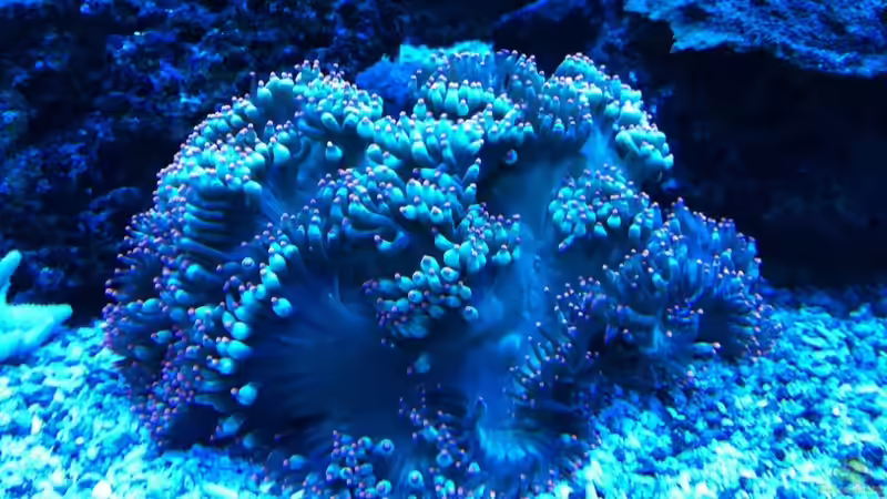 2011.03.21 von Stephan Ascher (27)