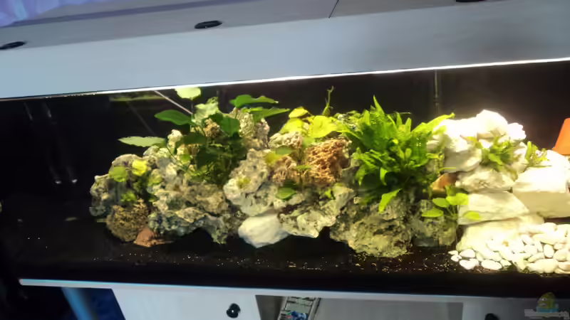 2011 alte Einrichtung von Malawiwelt (13)