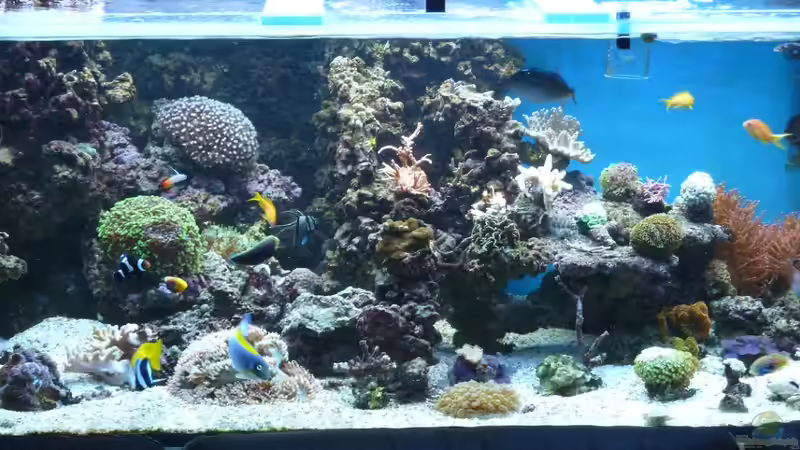 2011 Mai von Stephan Ascher (18)