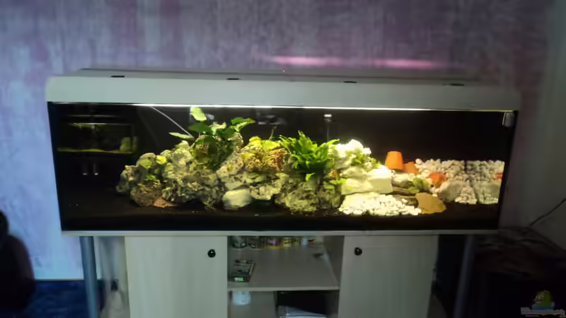 2011 So wars mal^^ von Malawiwelt (11)