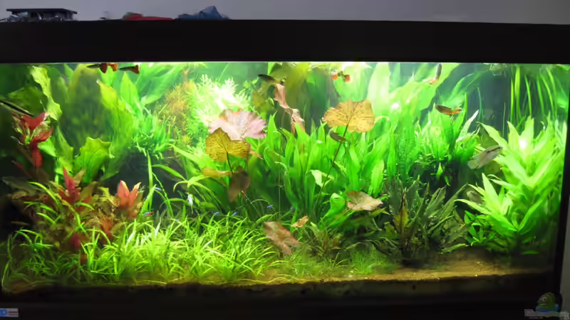 2012-02 von Jan16 (14)