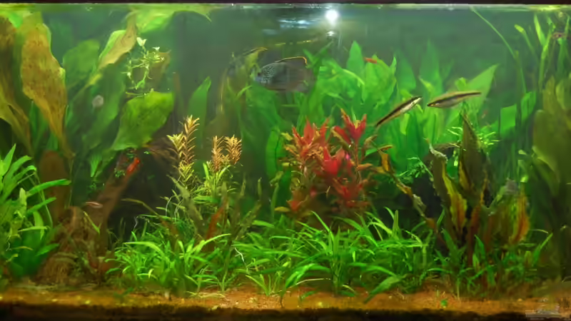 2012-11 von Jan16 (11)