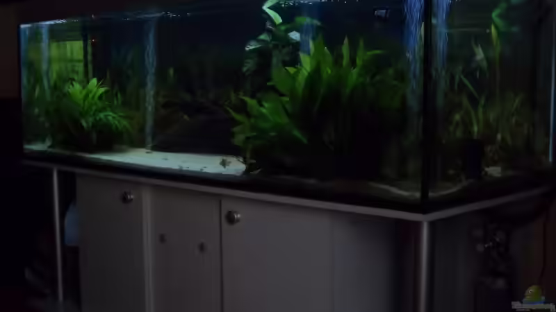 2012 jetzt 3 von Cliff Lehmann (12)