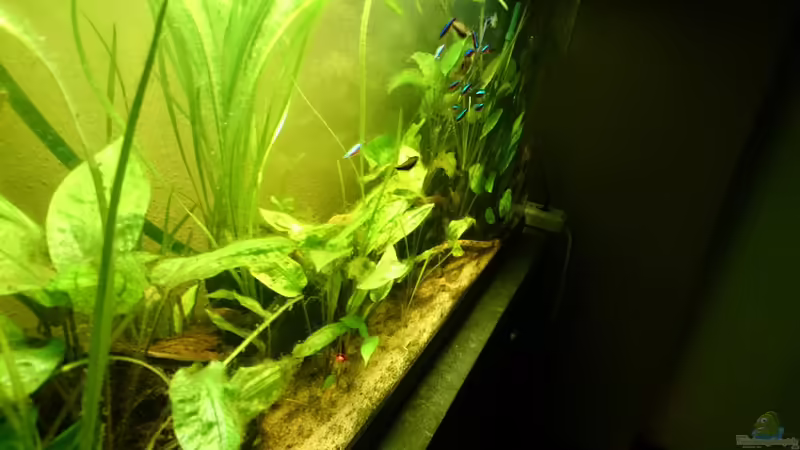 2014 von Karim C (5)