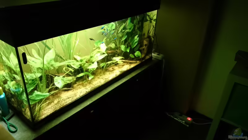 2014 von Karim C (7)