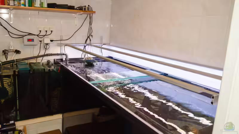 2015, Technikraum ohne Abdeckung von Diskus-Amanã (24)