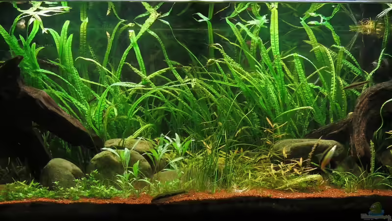 2015-01-24 von Jan16 (5)