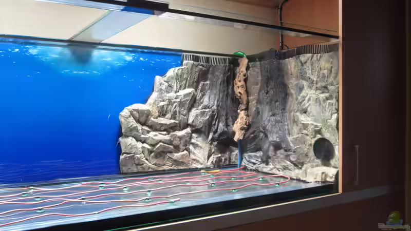 2015-01-25 rechte Seite von Christian Grunwald (24)