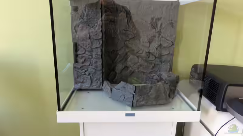 2015-06-25 Mit weiteren Resten der Rückwand wird die erste Terrassenebene komplett. von MengBer (27)