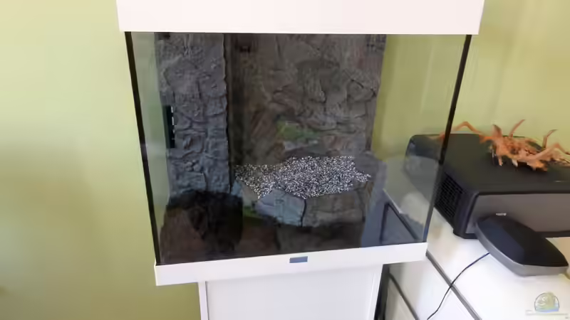 2015-06-25 Rückwand eingeklebt, die erste Terrassenebene ist fertig und mit Steinen von MengBer (29)