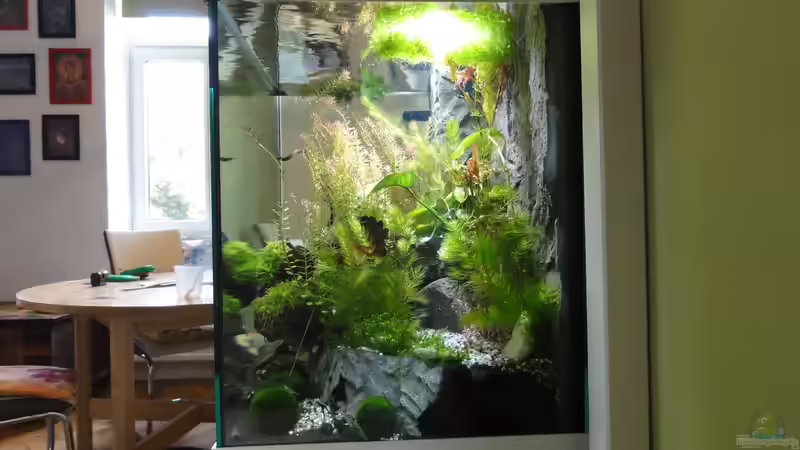 2015-08-03 Ansicht rechte Seite. von MengBer (12)