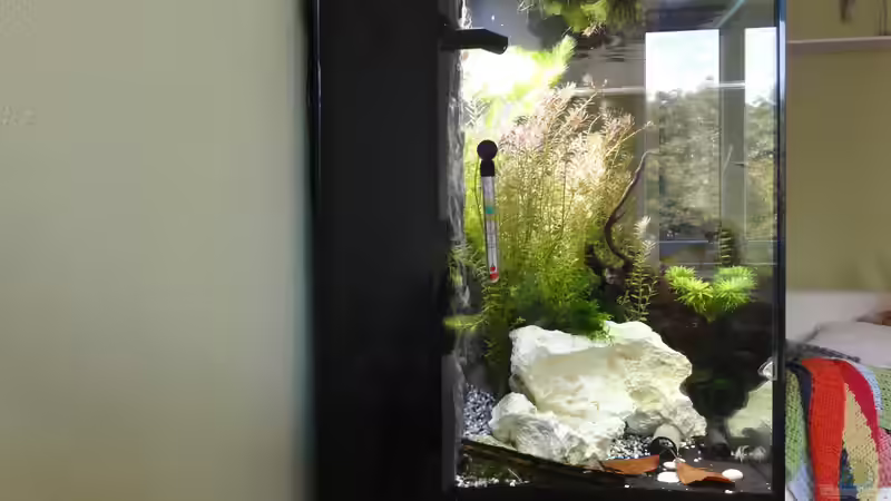 2015-08-03 Links klebt jetzt das umgesetzte Lido 120 Filtersystem. Dort stört es von MengBer (10)