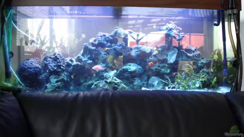 2015 von Stefan Mischler (5)