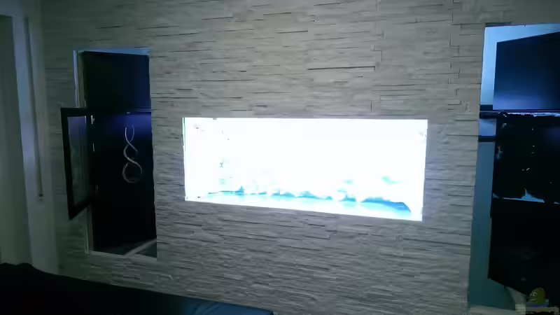 2016: Regale sind gleichzeitig Türen um Zugang zum Aquarium zu haben von JanR (4)