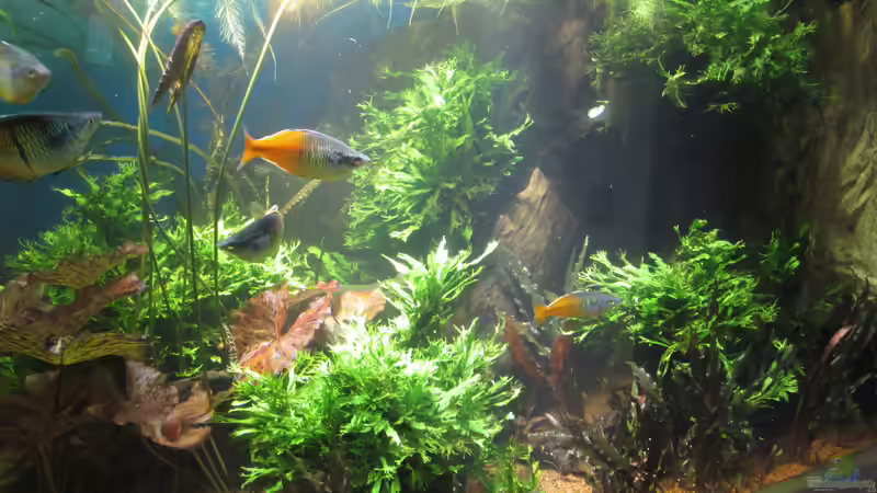 2016-04-24 von Christian Grunwald (2)