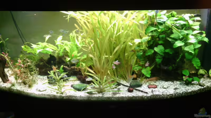 2017 05 02 von baw (1)