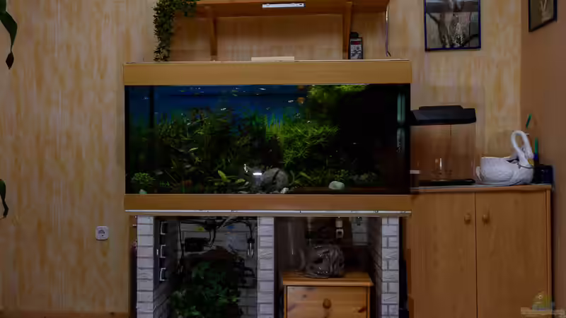 2017 Becken in der Totalen von Herr Lampe (25)