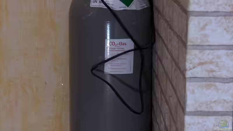 2017 CO²-Flasche mit Druckminderer und Magnetventil von Herr Lampe (73)