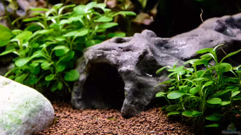 2017 selbstgemachte Röhre von Herr Lampe (59)