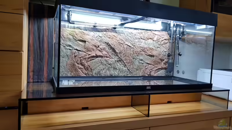 2017 unser neuer Fernsehr einstig in die Aquaristik  von Manuela&Mike (2)