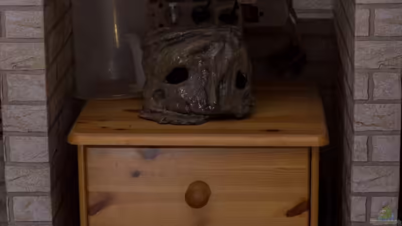 2017 Unterbau - rechts von Herr Lampe (71)