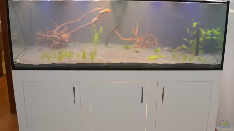 2018-01-07 B01: Teilbepflanzung + Holz von Achim Theobald (8)