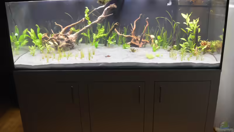 2018-01-18 B01: Bepfanzung abgeschlossen, Beleuchtung fertig von Achim Theobald (9)