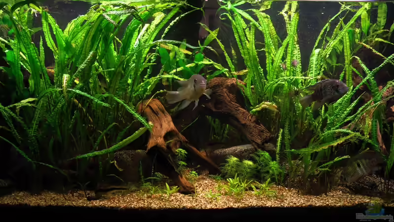 2019-01-20 von Jan16 (1)