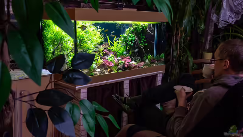 2019-02 Ich vor meinem Aquarium von Herr Lampe (5)