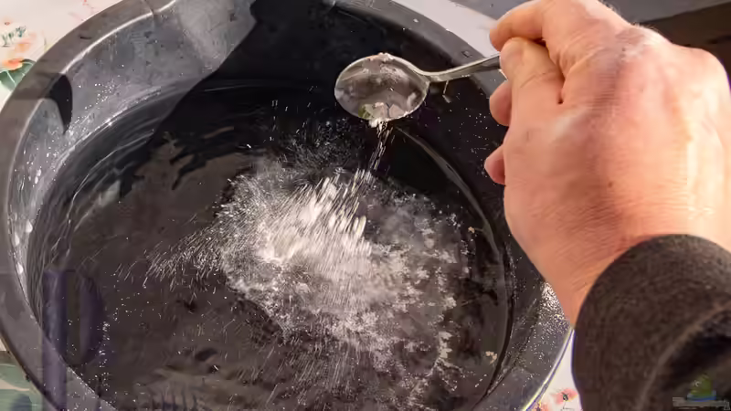 2019-03 Gipslösung wird hergestellt von Herr Lampe (60)