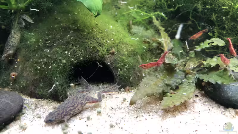 2020-09-30 von Kamelot (9)