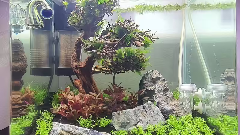 2020-20-29 von Marco B. (9)