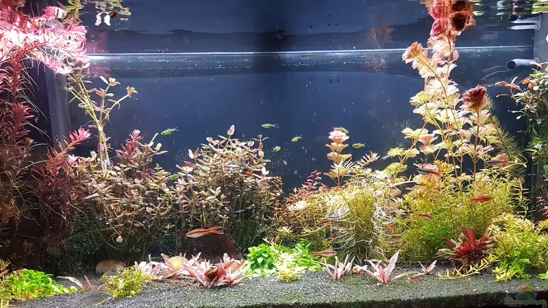 2024-03 von Valhall (1)