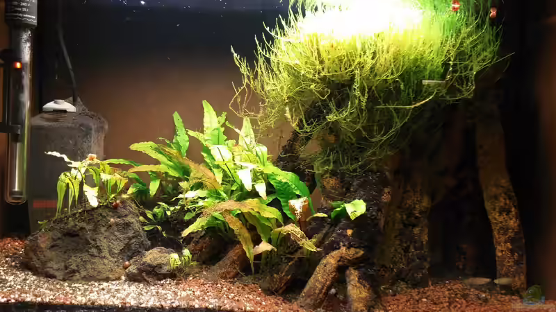 2024 von Roland Saager (4)