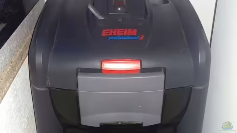 2080 XL von Ella Tinkerbella (12)