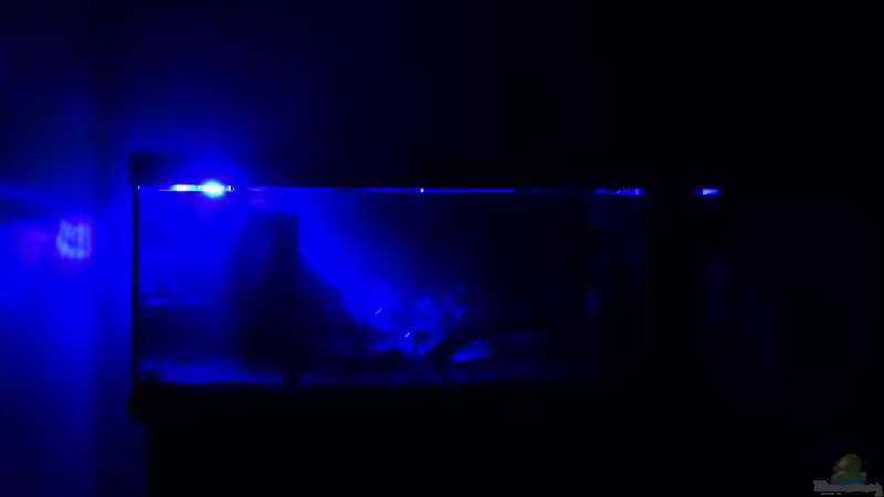 21.) Nachtbeleuchtung von coachdriver_uwe (22)