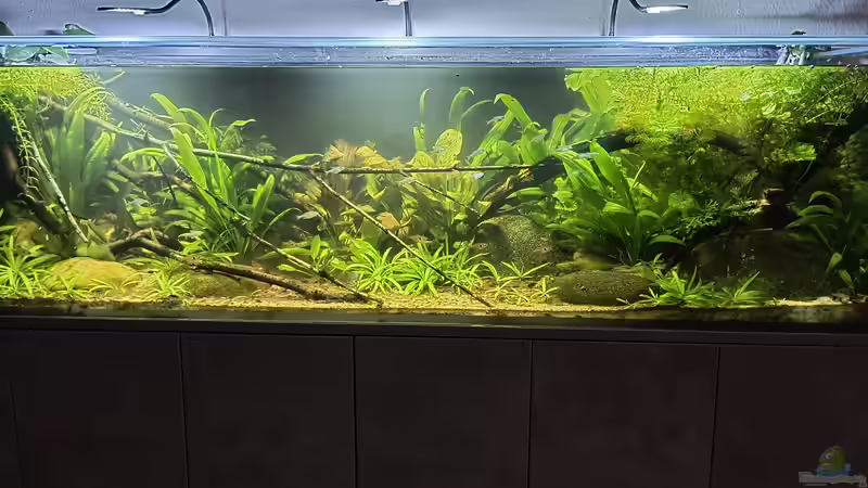 21. September  von Blackwater (6)