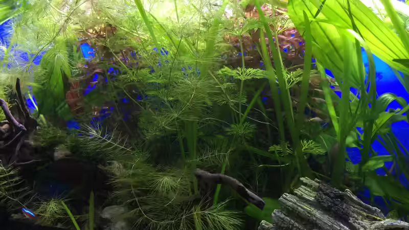 21.01.16 von .Andreas. (37)