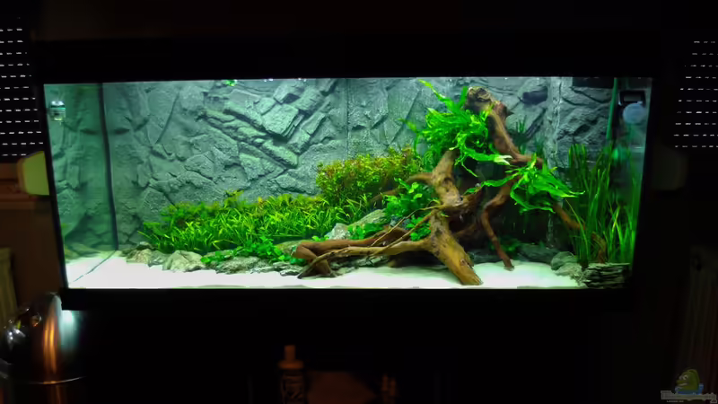 21.01.16 von Jah Gaid (8)