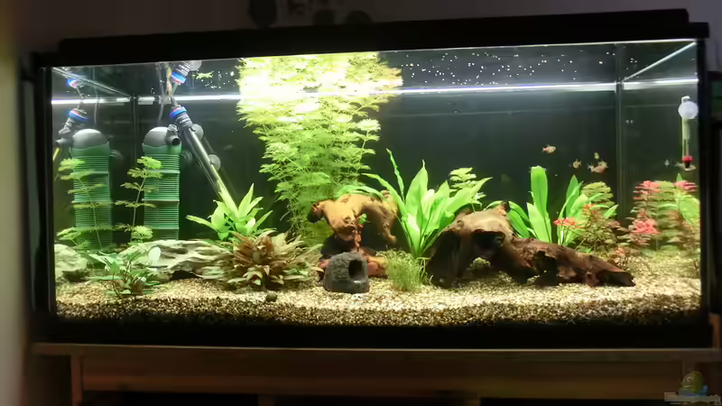 21.01.2018 - der Fortschritt ist sichtbar! von . (3)