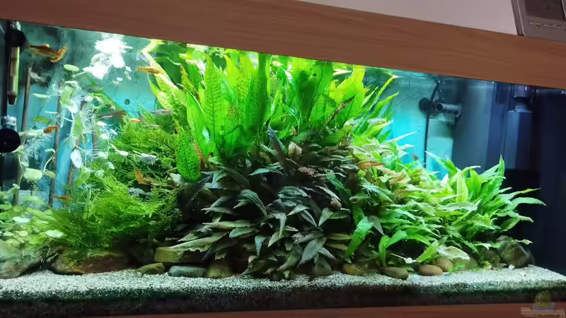 21.01.2026  von Thomas Kreuter (27)