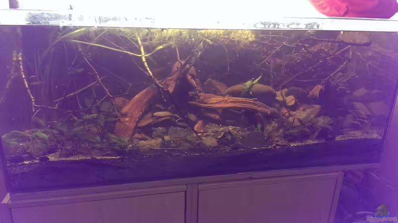 21.02.15 volle Beleuchtung von Niklas125 (7)