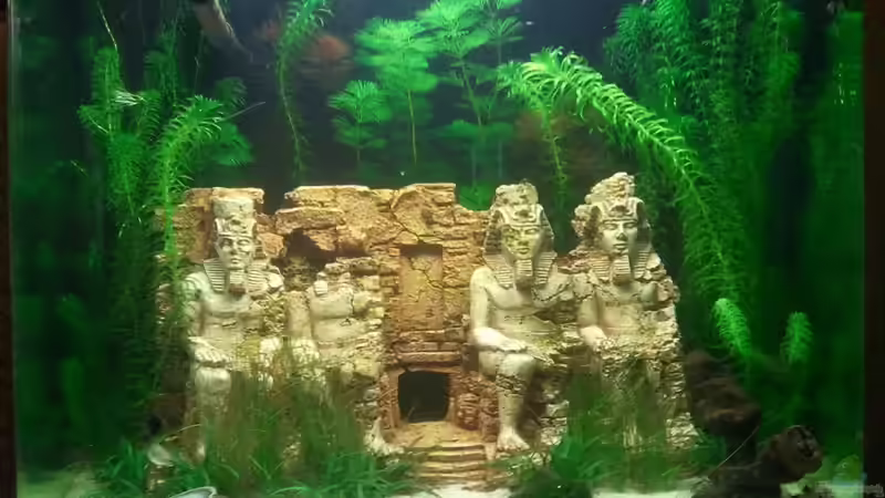 21.02.2011 von Simon Says (5)