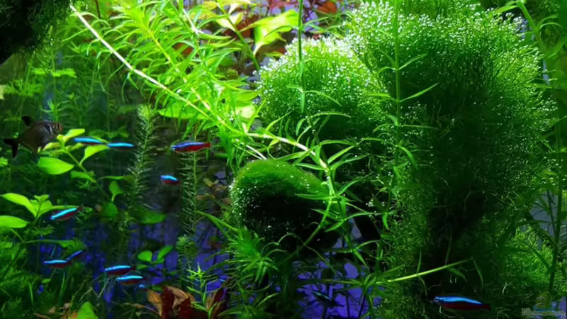 21.02.2016 von Sebastian Hartmann (27)